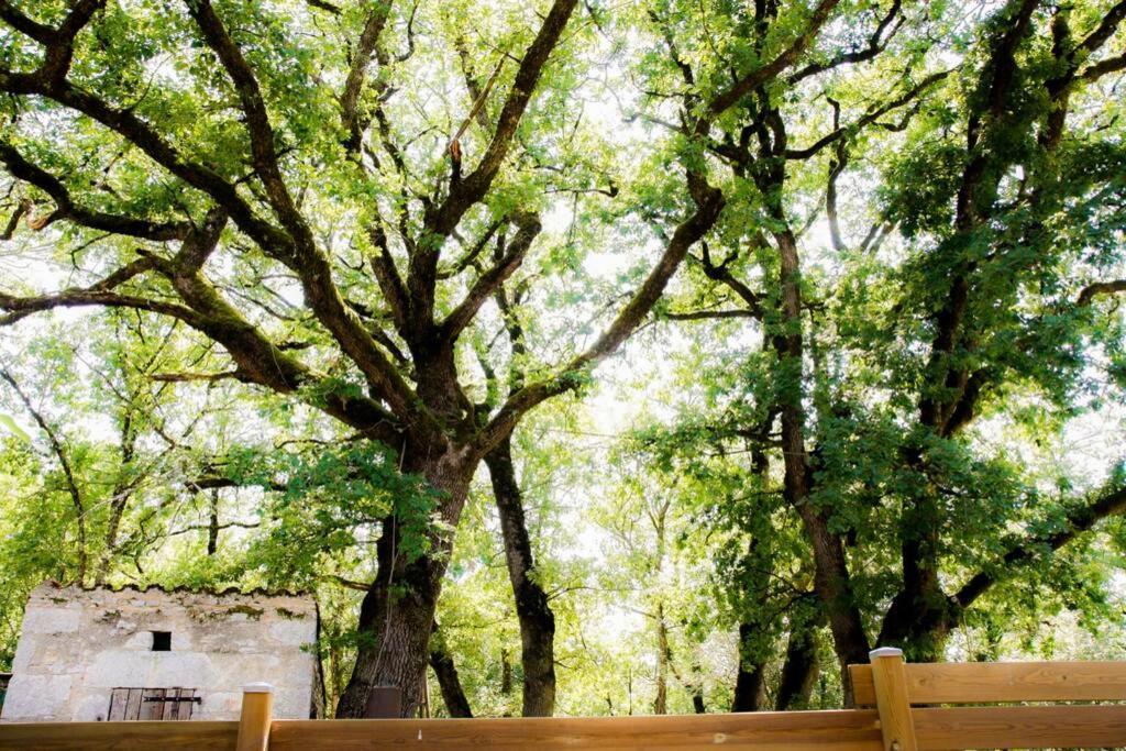 La Taniere Des Druides Villa Luzech Eksteriør bilde